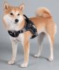 Dog Helios 'Scorpion' Sporty High-Performance Free-Range Dog Harness